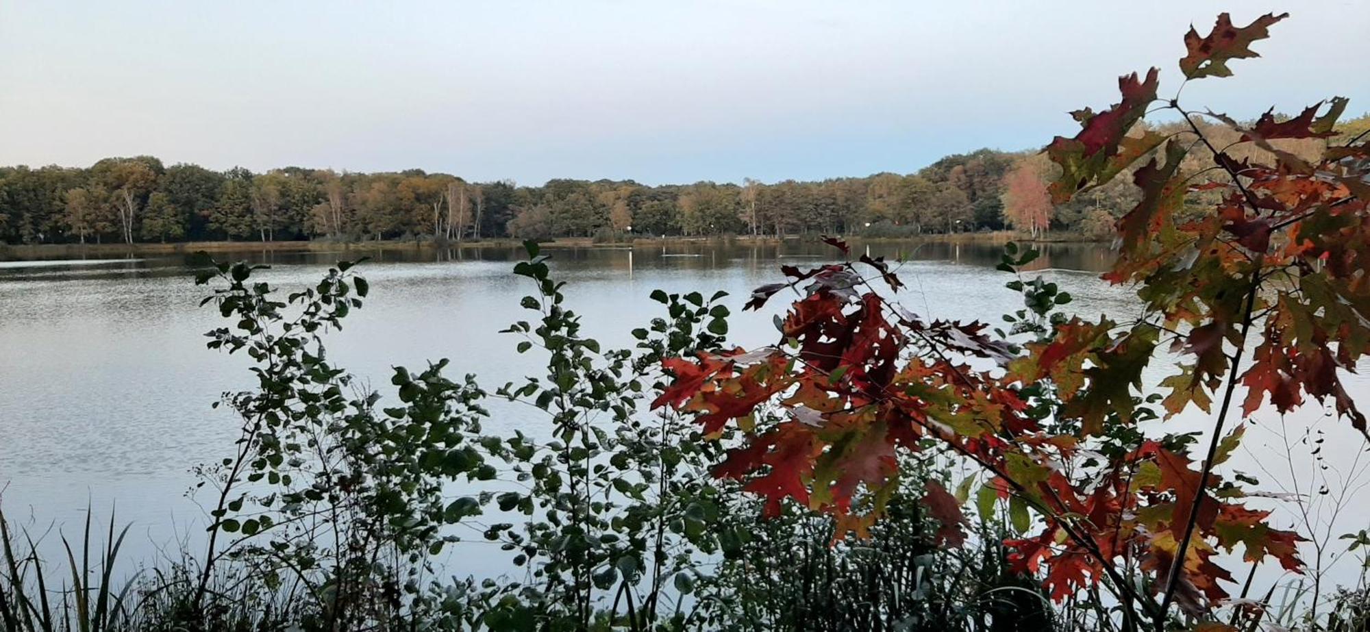 Waterlelie Rekem Villa Buitenkant foto