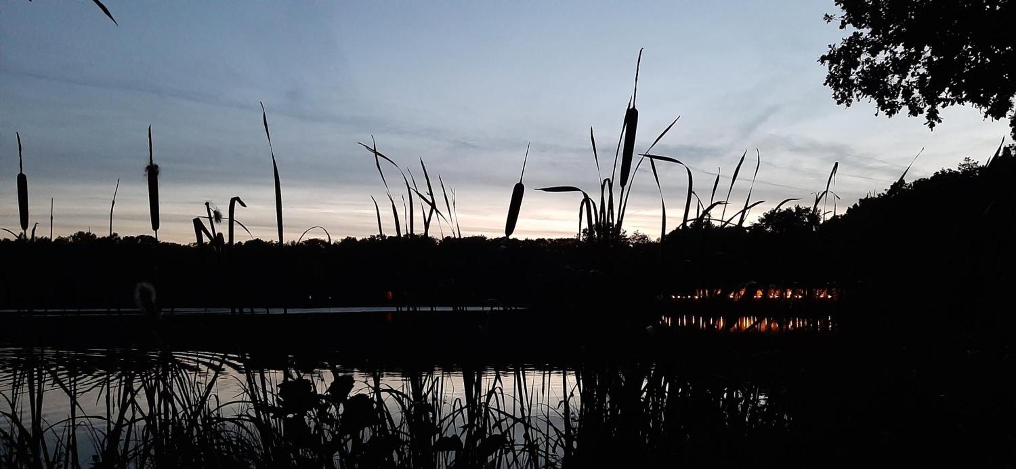 Waterlelie Rekem Villa Buitenkant foto
